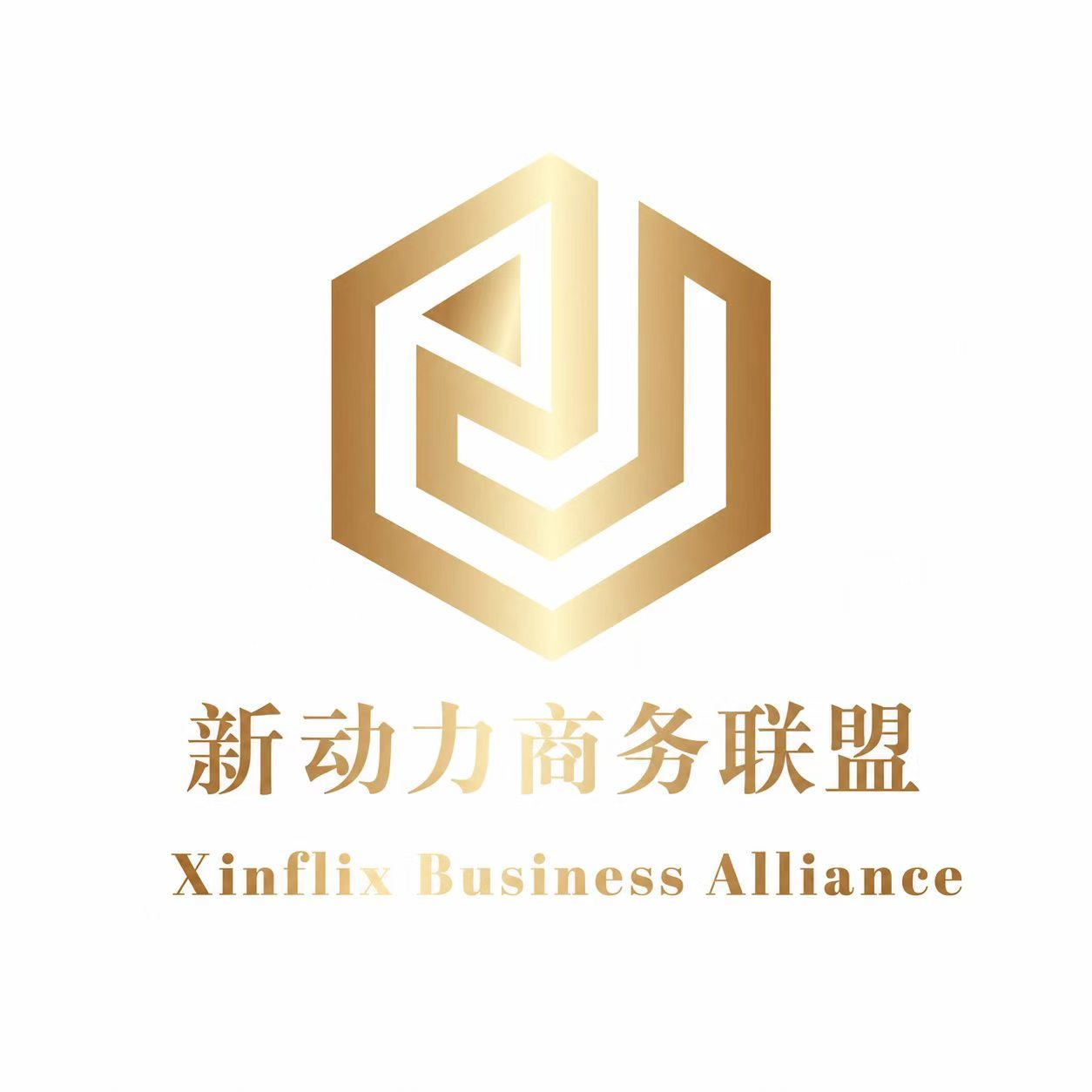 Xinflix Business Alliance logo